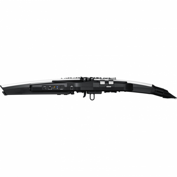 Roland Aerophone AE-20